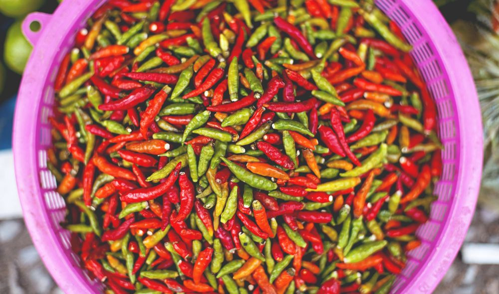 Diet-induced thermogenesis