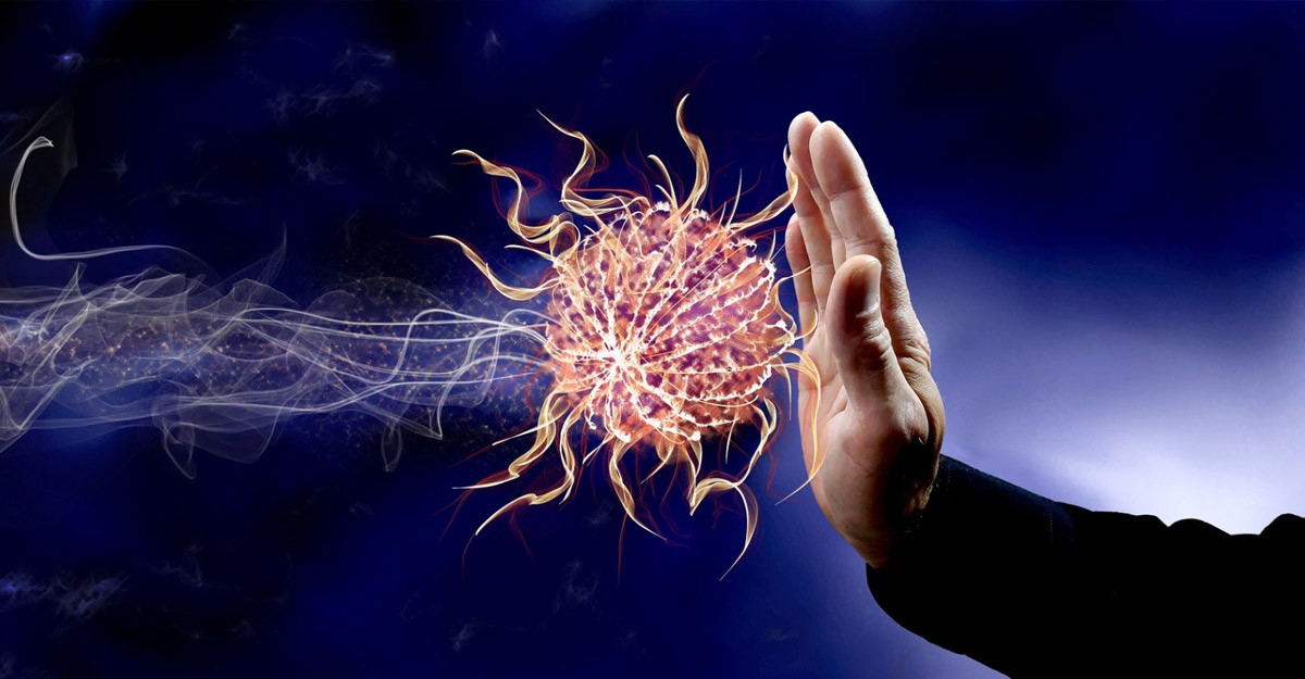 Immune System