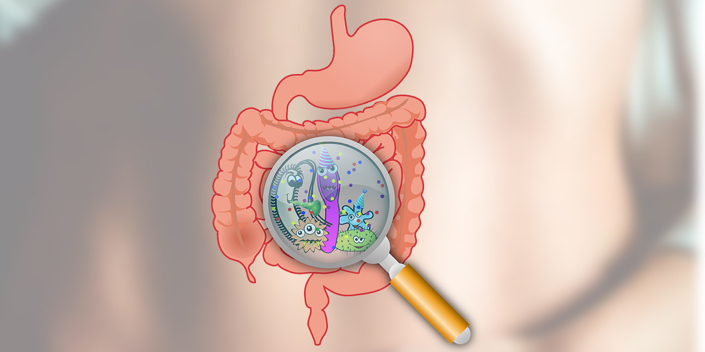 Gut microbiota