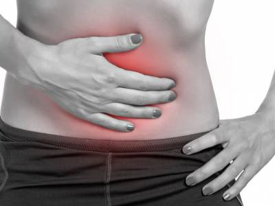 Digestibility