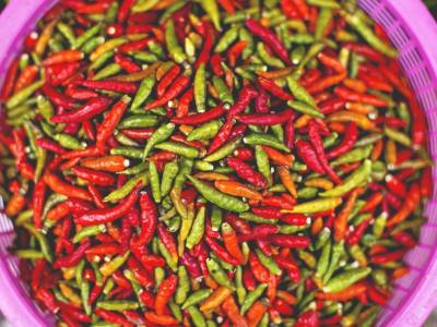 Diet-induced thermogenesis