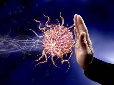 Immune System