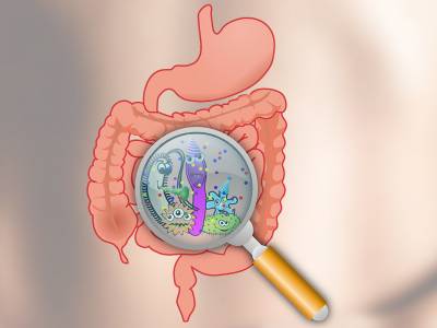 Gut microbiota