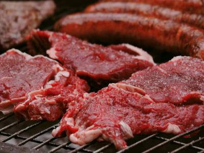 Carnivore diet
